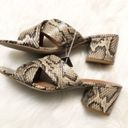 American Eagle  Womens SNAKESKIN  BLOCK HEEL Sandal Sz 8 Photo 6