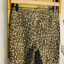 We The Free Leopard High Waisted Pants Photo 6