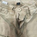 American Eagle Outfitters Cargo Pants Photo 2