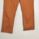 Everlane Cropped Straight Regular Pant- Size 10  Copper Rust Photo 8