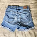 American Eagle Denim Shorts Photo 3