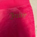 Juicy Couture Velvet Sweatpants Photo 1