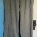 Nike Gray Sweatpants Photo 0