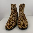 via spiga  Vinson Genuine Calf Hair Cheetah Bootie Photo 1