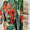 Walter Baker  Willette Dress Rain Forest Size 2 NWOT Photo 5