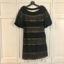 Tracy Reese  lace trim ruffle sleeve dress size 6 Photo 2