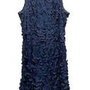 Petal Theia Appliqué Sleeveless  Dress Navy Blue Size 12 Photo 0