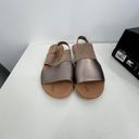 Sorel  Ella II Slingback Sandal in Ash Brown Chalk Size 11 MSRP $90 Photo 2