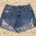 American Eagle Outfitters High Rise Mom Shorts Photo 0