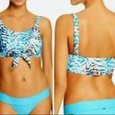 PilyQ  Palmas Blue Tropical Knot Bikini Top Photo 8