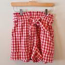 HYFVE Gingham Paperbag Shorts Photo 0