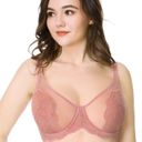 Blossom HSIA  Unlined Lace Underwire Bra Photo 2