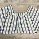 a.n.a White & Blue Stripe Linen/Cotton Blend Wide Leg Pull On Pants Size Large Photo 4