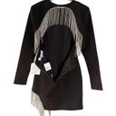 Elliatt NWT  Nebulous Mini Dress, Long Sleeve Crystal Fringe Size Medium Photo 9