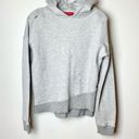 n: Philanthropy Sparrow Distressed Hoodie Photo 1