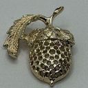 Sarah Coventry Vintage signed gold tone acorn brooch pin cottage 1970's Photo 0