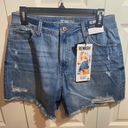 REWASH Denim Shorts Photo 0