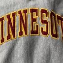 Minnesota Sweatshirt Hoodie Gray Photo 1