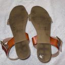 Plume by Faryl Robin Flats Brown Size 8.5 Photo 2