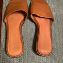 Madewell EUC  Mule Sandals Photo 2