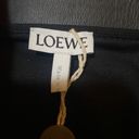 Loewe  Pleated Wrap Mini-Skirt Photo 4