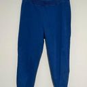 Banana Republic  Factory Blue Joggers Sweatpants Comfy Size M Photo 0