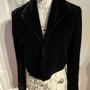 Dana Buchman NWOT Vintage Silk Velvet Crop Bolero Rave cover Formal Evening Party Photo 4