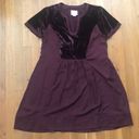 Maeve ANTHROPOLOGIE  Ingrid Dress Velvet Swing Tunic Dress S Photo 0