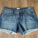 Dear John Madison Girlfriend cut off denim jean shorts women’s size 29 Photo 6