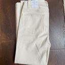 Talbots Straight Leg Sequin Stripe Jeans Photo 5