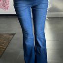 Knox Rose Bell Bottom Pants  Photo 5