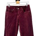 Day & Night Sundance  Velveteen Jeans Pants Purple Size P6 Petites Photo 1