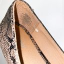 Old Navy Snakeskin Flats Photo 3