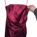 Lee NEW NWT Sau  Hera Gown Boysen Berry Photo 3