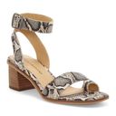 Lucky Brand  Loklin Heeled Sandal Snake Print Ankle Strap Chunky Heel Size 6 New Photo 10