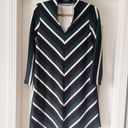 Mango Green, Black, and White Striped Long Sleeve Dress Photo 3