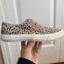 blowfish Sneakers Photo 0