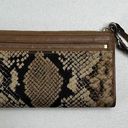 Coach  Madison Python Snake Print Zippy Wallet Wristlet Light Gold Natural Beige Photo 5