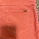 Carve Designs  Coral corduroy Women Shorts 6 Photo 3