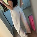 ZARA Wide Leg Pant Photo 1