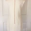 Ted Baker Iliad Shift Dress US 6 Photo 3