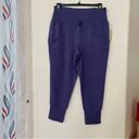 All In Motion  Size Large High Rise Stretchy Lightweight Casual Jogger Pants Photo 10