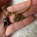 ALEX AND ANI  Conch Shell Gold Bracelet Photo 3