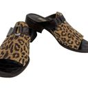 Brighton  Sandals Mules 7.5M Brown Leopard Leather Fabric Silver Photo 10