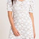 Lush Clothing Lush Puff Sleeve Crochet Lace Mini Dress White Size Medium NWT Photo 0