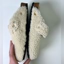 Birkenstock  Boston Big Gold Buckle Teddy Sherpa Clogs Cream 8 Photo 7