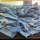 American Eagle Outfitters Shorts Photo 1