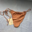 Free People NWT Stone Fox Swim x  Wild Cat River Bottom Medium Brown Cheeky Photo 5