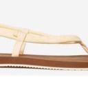 Everlane Balsa Lycra Swim Sandals Size 8 Photo 1