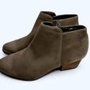 Blondo  Booties Villa Olive Suede Ankle Boot Size 12 Waterproof Brand New Photo 0